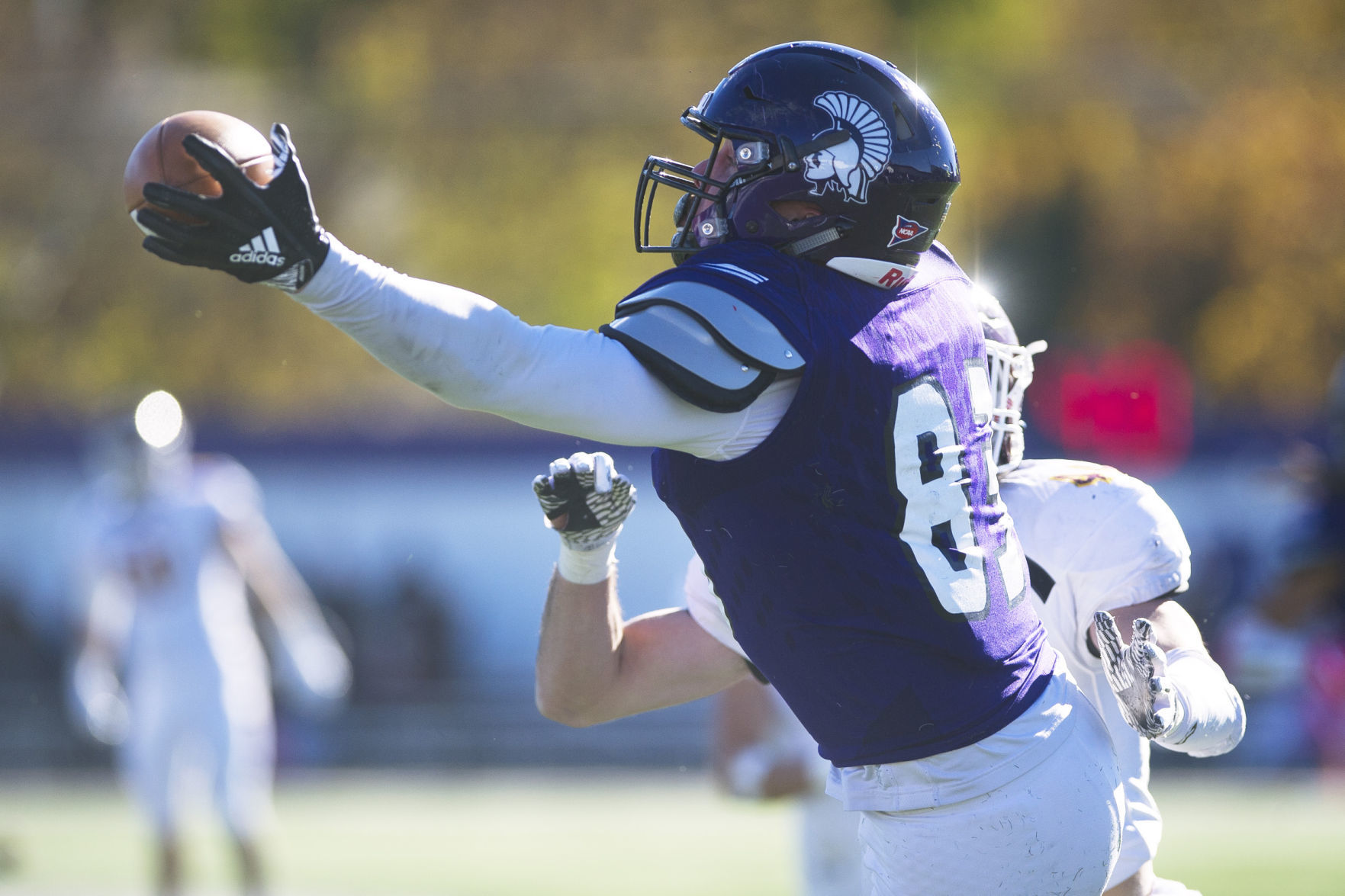 WSU v. Minnesota Duluth 15